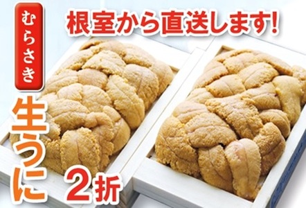 ムラサキウニ100g×2折 B-71021