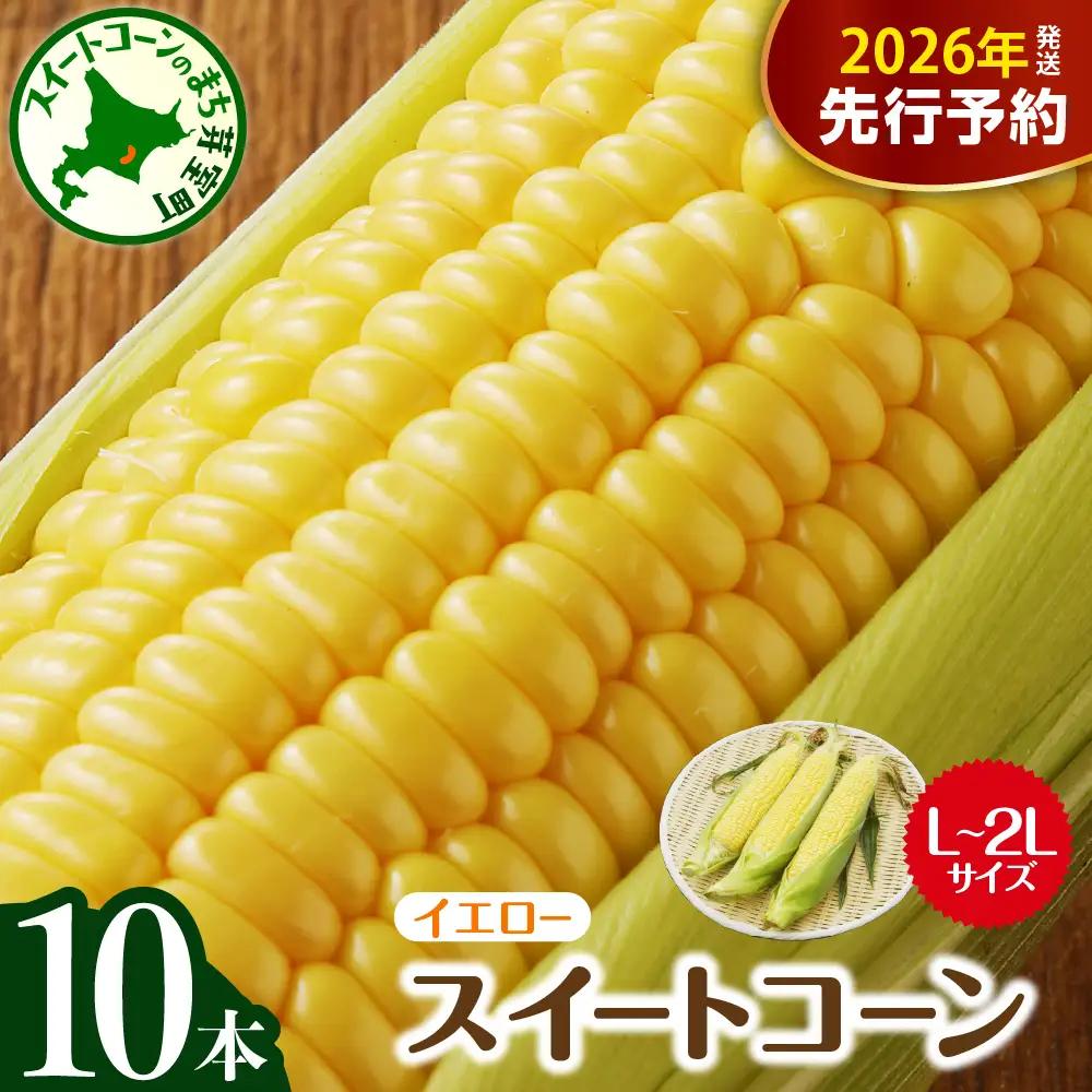 とうもろこし10本 イエロー 北海道 芽室 令和8年産 トウモロコシ