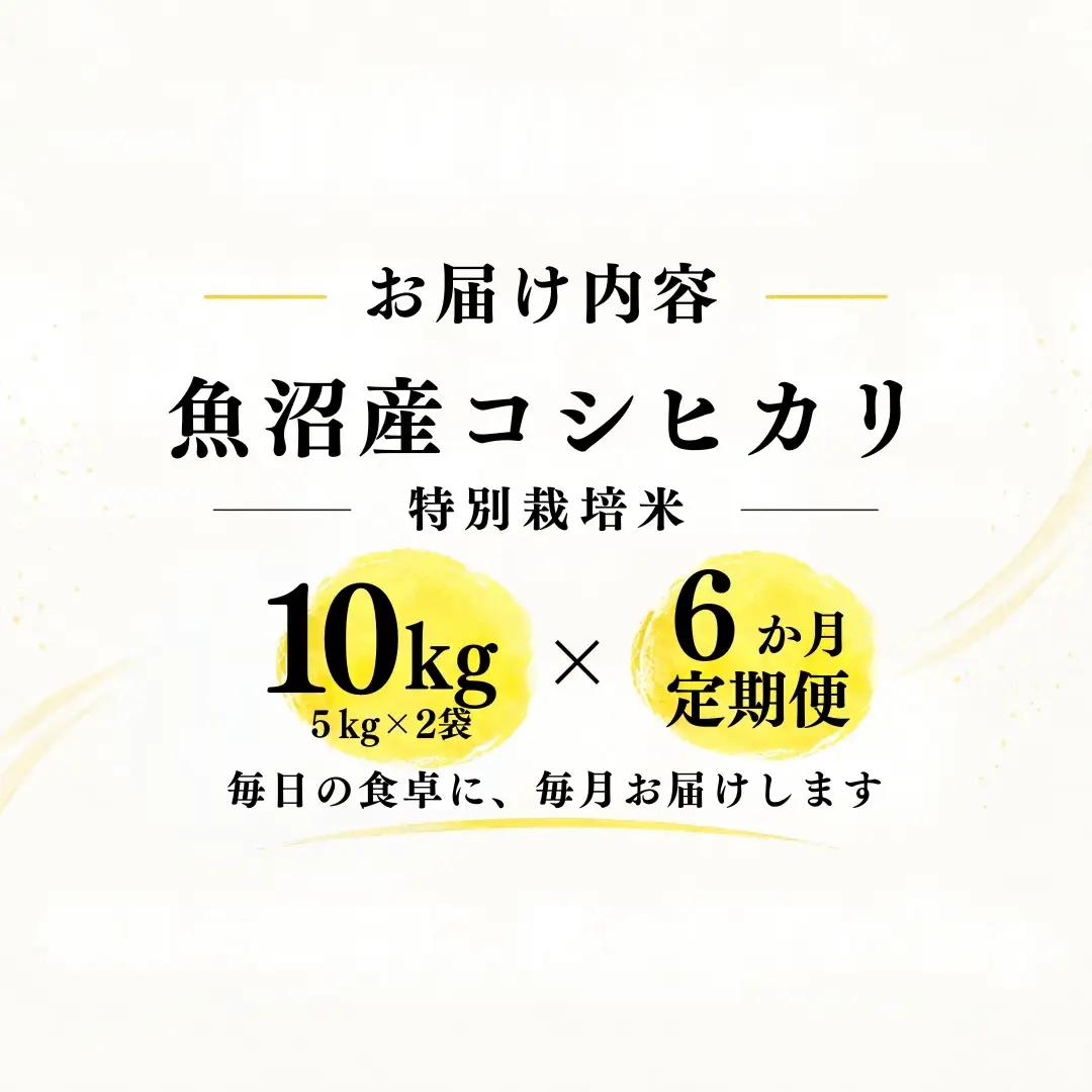 【6ヶ月定期便】【令和8年産 コシヒカリ】魚沼産コシヒカリ 特別栽培米 10kg(5kg×2袋) | 新潟県産コシヒカリ 魚沼産こしひかり 米 お米 こしひかり 白米 精米 ブランド米 津南町 米処や