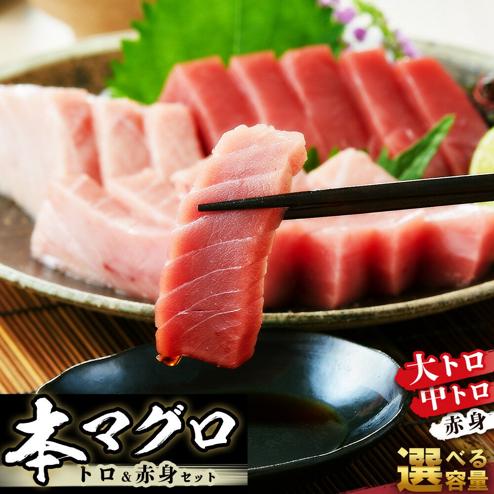 【ふるさと納税】本マグロ トロ+赤身セット 500g or 1kg 大トロ 中トロ 鮪 刺身 寿司 | 本マグロ 海鮮 魚介 大トロ 中トロ 赤身 人気 おすすめ グルメ 刺身 寿司 お取り寄せ 送料無料 ふるさと納税