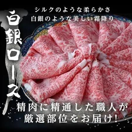 飛騨牛【白銀ロース】すき焼き・しゃぶしゃぶ用500g【配送不可地域：離島】【1681890】