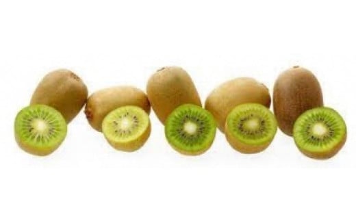 季節のフルーツ「さぬきキウイっこ」約2kg【令和６年11～12月発送】