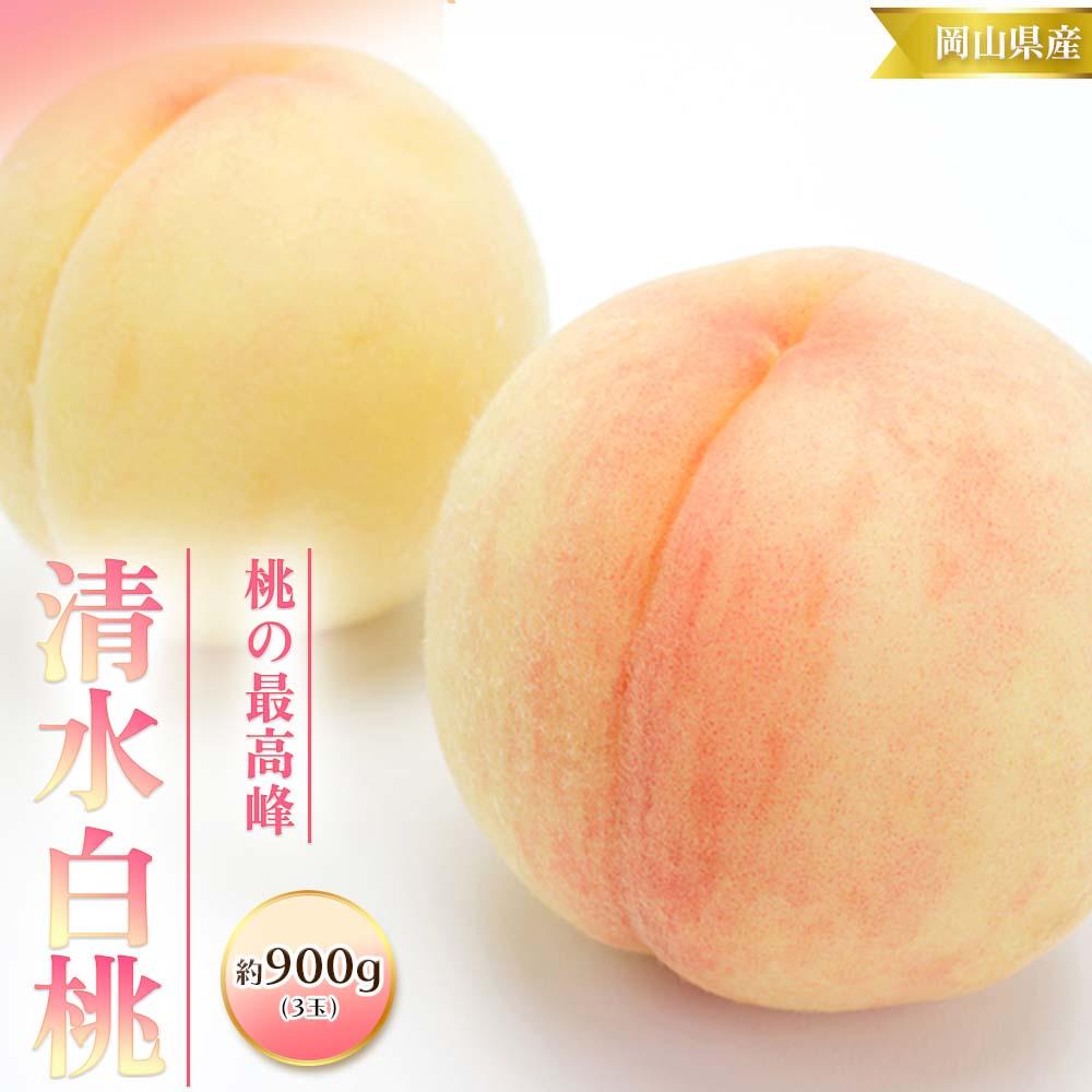 【ふるさと納税】桃 2026年 清水 白桃 3玉 合計約900g （1玉約300g） もも モモ 岡山 国産 フルーツ 果物 ギフト 桃茂実苑 | もも フルーツ 果物 くだもの 食品 人気 おすすめ 送料無料