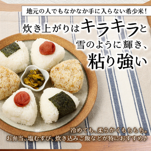 お米 令和7年産 無洗米150g1合『美富士の夢来ゴールド』15個セット ごはん