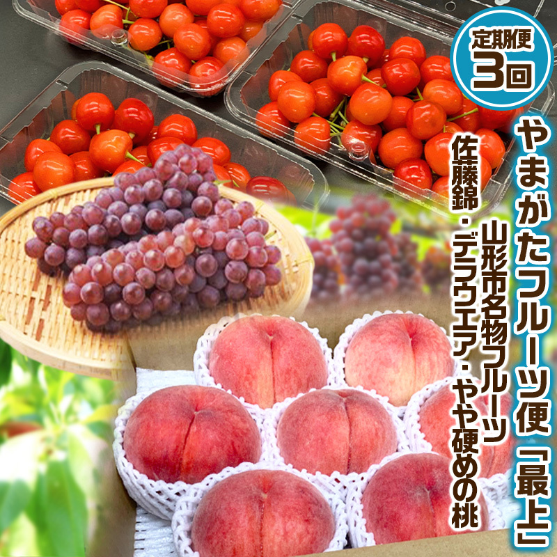 【定期便3回】やまがた フルーツ定期便 ”最上” 山形名物フルーツ [佐藤錦・デラウェア・やや硬め白桃] 【令和8年産先行予約】FS25-630