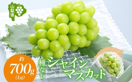 【2026年発送★先行予約】山梨県 笛吹市 シャインマスカット 1房 約700g 177-6-005