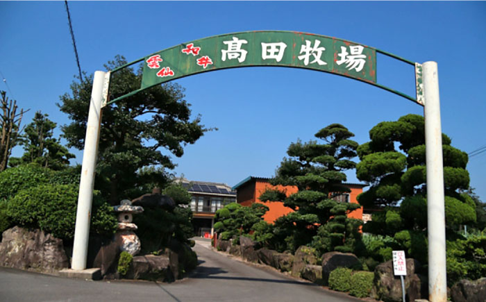 【6回定期便】長崎県産 和牛 肩ロース スライス 500g / すき焼き / しゃぶしゃぶ / 南島原市 / 高田牧場 [SDB009]