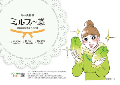 ミニ白菜 6個 ミルフィ～菜 【 白菜 】