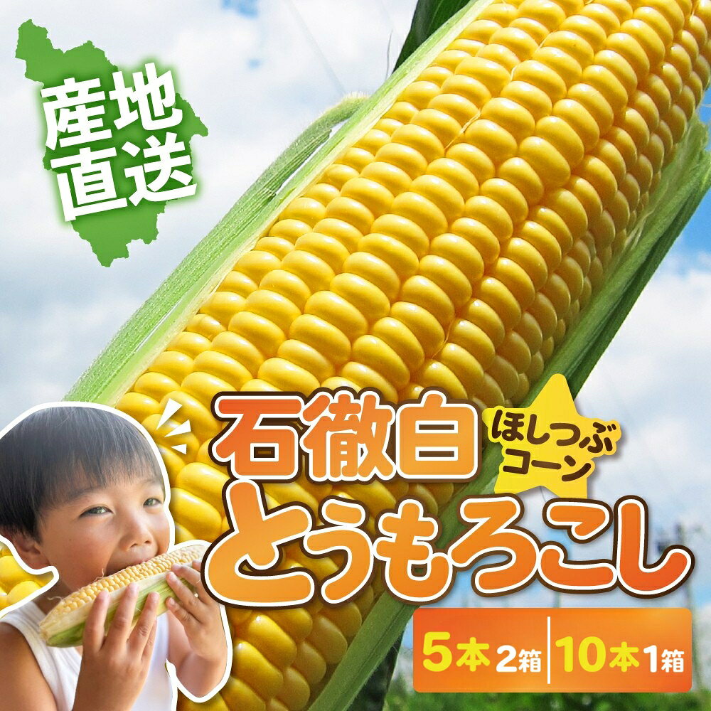 【ふるさと納税】＼8/3~発送開始!／先行予約 いとしろトウモロコシ 10本入 とうもろこし 大粒 甘い おいしい ほしつぶ コーン 野菜 やさい 旬 夏 BBQ トウモロコシ とうもろこしおいしい とうもろこし甘い 糖度 高糖度 農家直送 旬の野菜 岐阜県 郡上市