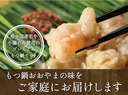［博多もつ鍋おおやま］【ギフト対応可】博多もつ鍋 しょうゆ味2人前 (もつ480g) OY011-1