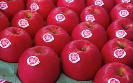 【2026年3月発送開始】希少品種ピンクレディ 山形県産 りんご（ピンクレディー）2kg 化粧箱入り FSY-2595