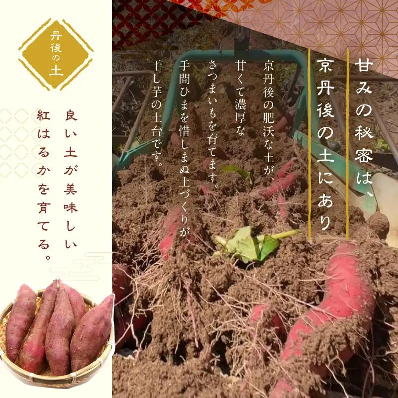 京丹後市産 紅はるか 干し芋 1kg 小分け 10袋｜干し芋【3回隔月定期便】