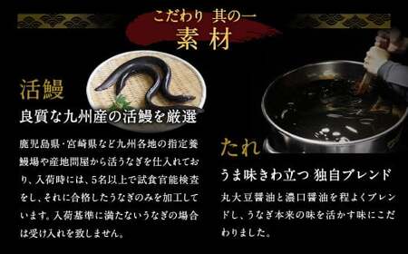 【3ヶ月定期便】鰻天屋の 九州産 うなぎ 蒲焼 約140g×2尾 セット