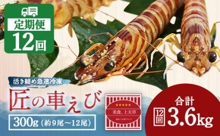 【上天草ブランド認証品】【定期便 全12回お届け】 匠の車えび 【活き締め急速冷凍】300g (9尾～12尾) 冷凍