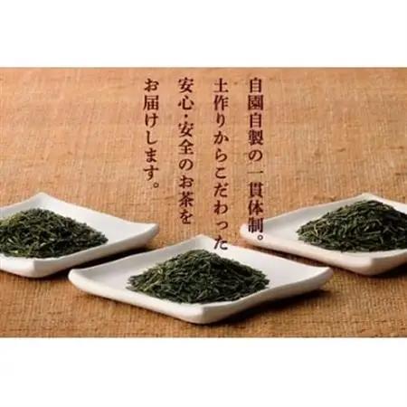 おりたの特別栽培知覧茶5本セット【1185906】