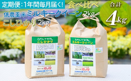 
                  【定期便12か月】【新米】令和8年産 12か月毎月届く！低農薬米 ミルキークイーン 2kg ＋ こしひかり 2kg 食べ比べ　合計 4kg | 定期便 こめ 米 コメ 白米 白飯 精米 コシヒカリ 茨城県産 国産 茨城県 古河市  こだわり おいしい 2026年産  ※2026年9月～発送 _FN14
                