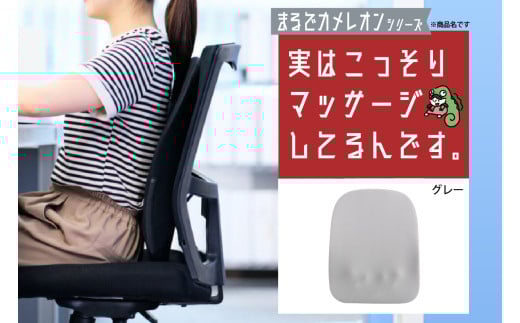 実はこっそりマッサージしてるんです　グレー