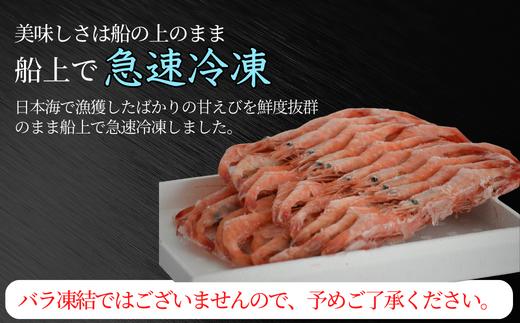 【甘えび 刺身用 (30～40尾) 約700g 兵庫県香住産 冷凍 】船内急速冷凍 鮮度抜群 大人気 ふるさと納税 送料無料 香美町 香住 柴山 刺身 唐揚げ 味噌汁 海鮮丼 エビ 宿院商店 1400