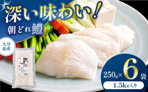 【数量限定】鱧（はも）の切り身 250g×6袋 | 魚 さかな サカナ 切り身 きりみ はも 鱧 小分け ハモ 魚の切り身 お鍋 水炊き フライ 天ぷら 冷凍 産地直送 中津産 九州産 大分県 中津市