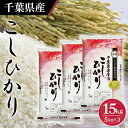 【ふるさと納税】No.161 令和6年産 千葉県産コシヒカリ5kg×3袋 ／ お米 白米 精米 こしひかり 15kg 送料無料 千葉県