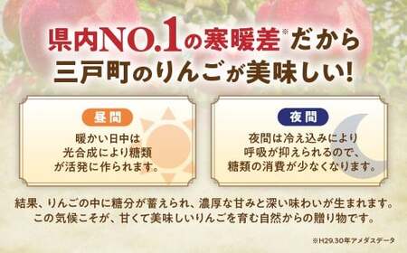 青森県産りんご サンふじ 訳ありりんご 約3kg サイズおまかせ 青森県 三戸町 BO-25-001