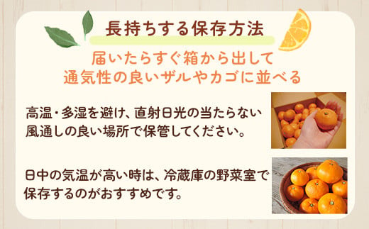 家庭用 極早生有田みかん1kg+250g（傷み補償分）【希少な新品種YN26】【菊みかん入り】 ※北海道・沖縄・離島への配送不可 ※2025年10月上旬～11月中旬頃に順次発送予定
