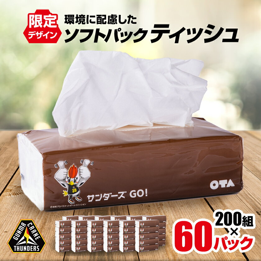 【ふるさと納税】群馬クレインサンダーズ応援ソフトパックティッシュ 400枚(200組)×60パック_ ティッシュ ティッシュペーパー ソフトパック まとめ買い ソフト 箱なし 群馬県 太田市 ふるさと 【配送不可地域：離島・沖縄県】【1422589】