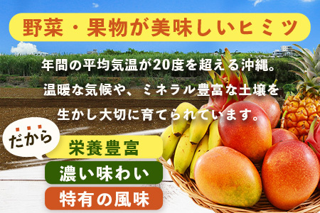 沖縄県 石垣島の野菜・フルーツBOX 1箱 ≪野菜4～5種類、フルーツ1~2種類≫ じょーとーまーさん(とても美味しい) 石垣島の野菜とフルーツの詰め合わせセットをお楽しみください！！｜沖縄 石垣島 