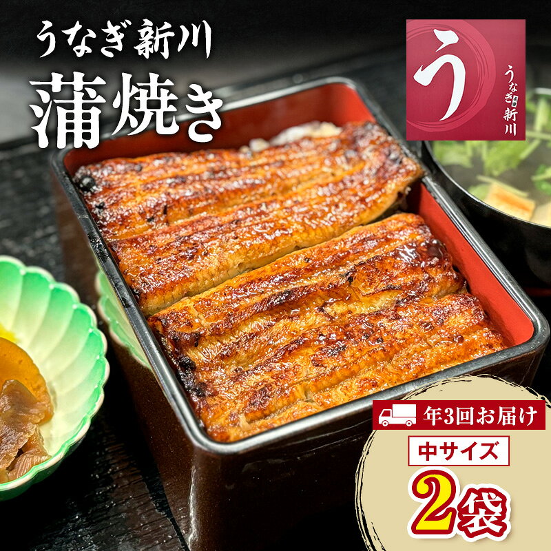 【ふるさと納税】うなぎ 定期便 3ヶ月毎 蒲焼き 中サイズ 2袋 タレ付き うなぎ新川 うなぎの蒲焼 うなぎ蒲焼 うな重 鰻重 うな丼 惣菜 おかず 成田うなぎ 和食 冷凍 冷凍うなぎ 鰻 ウナギ 蒲焼 鰻の蒲焼き うなぎ蒲焼き 丑の日 土用の丑の日 千葉県 成田市 定期 3回