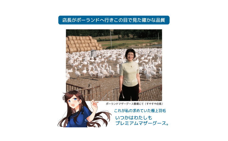 【プレミアムゴールドラベル】コウダ種ポーランドマザーグース95%羽毛肌掛け【クィーン】【新津】