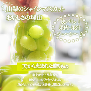 ＜25年発送先行予約＞シャインマスカット 約1.2kg 2～3房 154-007 | フルーツ 果物 高評価 人気 ランキング おすすめ 甘い 美味しい デザート 数量限定 送料無料 山梨県産 笛吹市