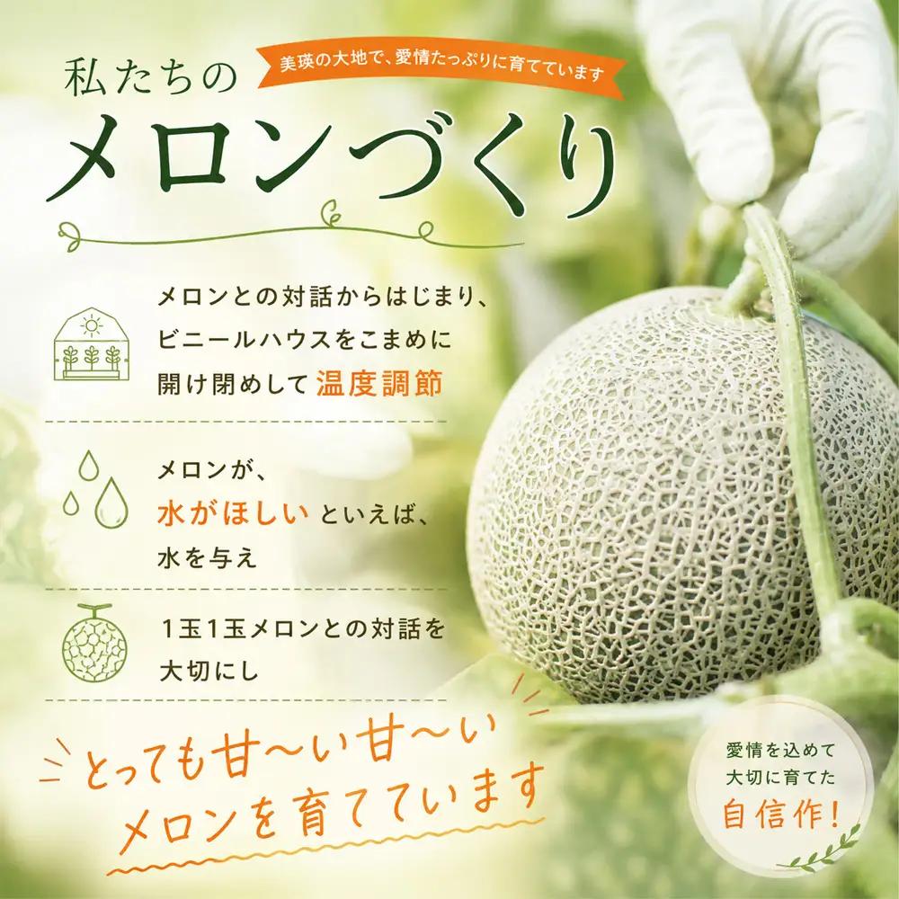 【令和9年産 先行予約】北海道メロン 赤肉品種（家庭用）1玉 2kg以上 高級メロン！ 果物 フルーツ ギフト 農家直送