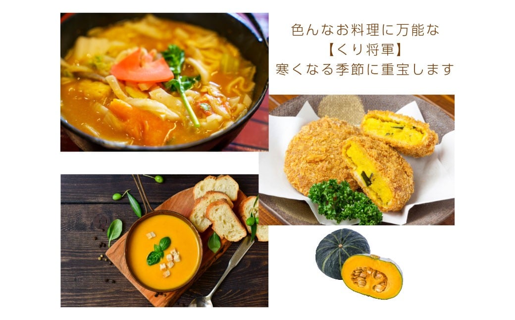 【先行受付】山梨県 中央市産 かぼちゃ【くり将軍】約4～5kg