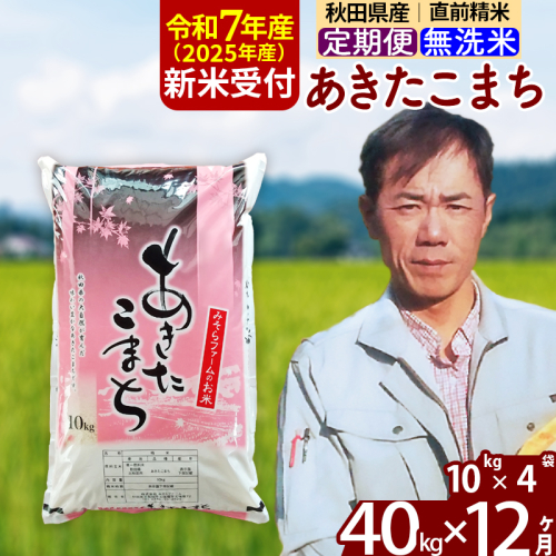 ※令和7年産 新米※《定期便12ヶ月》秋田県産 あきたこまち 40kg【無洗米】(10kg袋) 2025年産 お届け時期選べる お届け周期調整可能 隔月に調整OK お米 みそらファーム