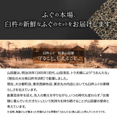 ふるさと納税 大分市 臼杵ふぐ山田や ふぐ刺身セット 2人前_E05017 |  | 02