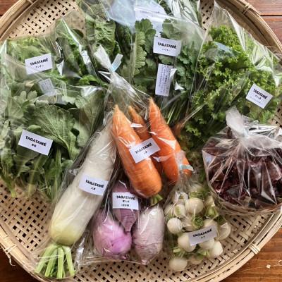 ふるさと納税 香川県 旬を楽しむTAGATAMEのおまかせお野菜セット(7〜10品) |  | 01