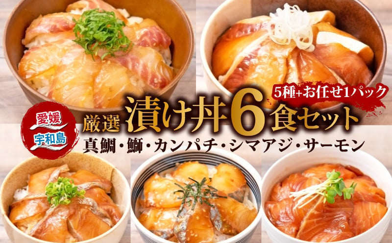 
漬丼 厳選 活締め 5種 漬け丼 6食 セット 南予ビージョイ 鮭 サーモン 鰤 ブリ 真鯛 鯛 カンパチ 縞鯵 シマアジ 鯵 あじ 食べ比べ 漬け丼 づけ丼 りゅうきゅう 人気 加工品 漬け丼 新鮮 水産品 漬け 漬け丼 刺身 海鮮丼 数量限定 国産 愛媛 宇和島 D010-150005
