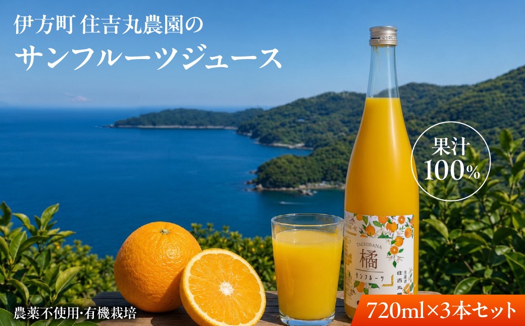 
                  サンフルーツジュース 720ml×3本  【ふるさと納税 人気 おすすめ ランキングサンフルーツジュース みかん  ミカン オレンジ　無農薬　有機栽培　佐田岬半島　農家直送　住吉丸農園  愛媛県 伊方町 送料無料】 IKTBN014
                
