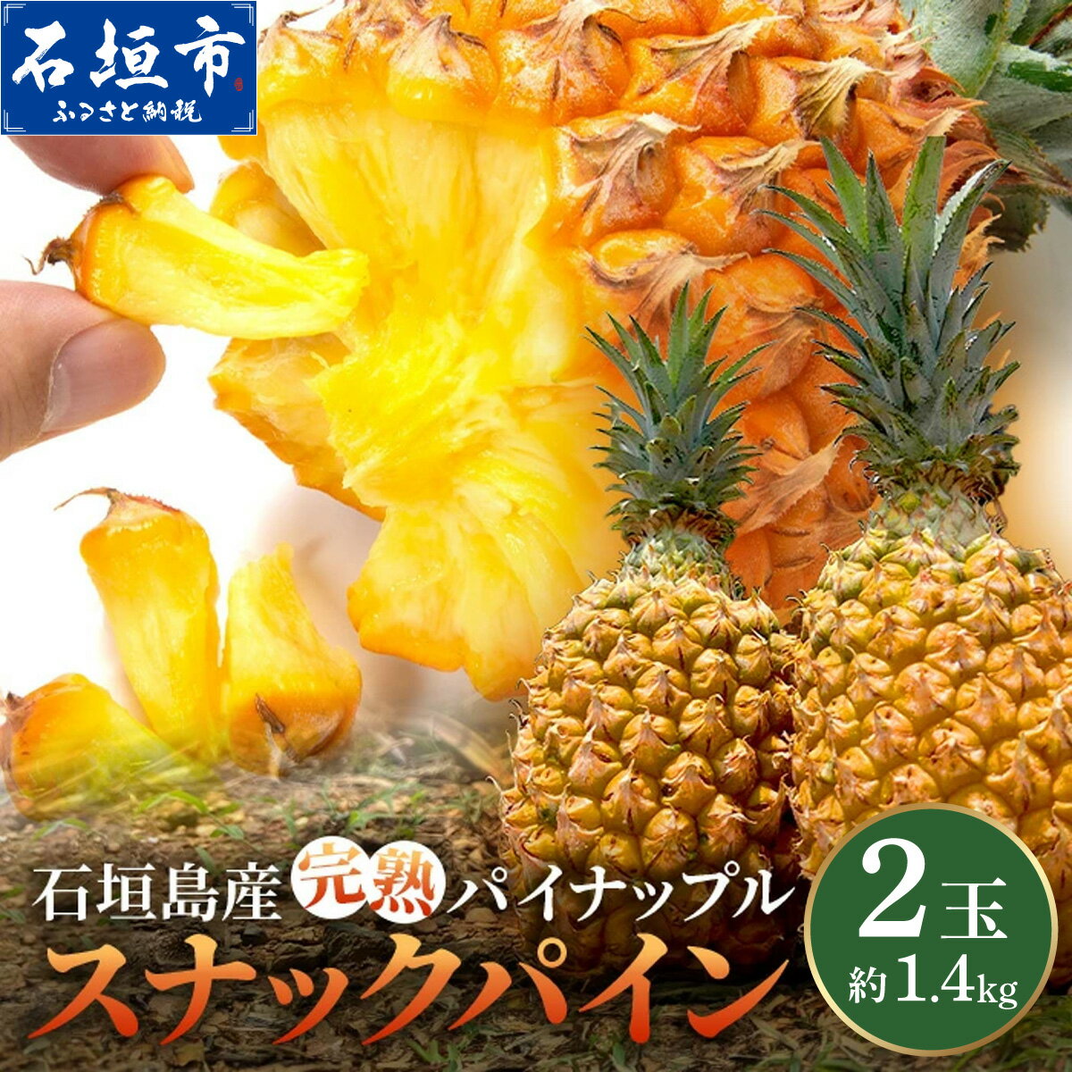【ふるさと納税】＜期間限定 春フェア＞《2026年4月〜6月発送》お試し用 石垣島産 完熟 スナックパイン 2玉 約1.4kg | パイン パイナップル ボゴール 沖縄 石垣島 石垣 八重山 期間限定 数量限定 産地直送 送料無料
