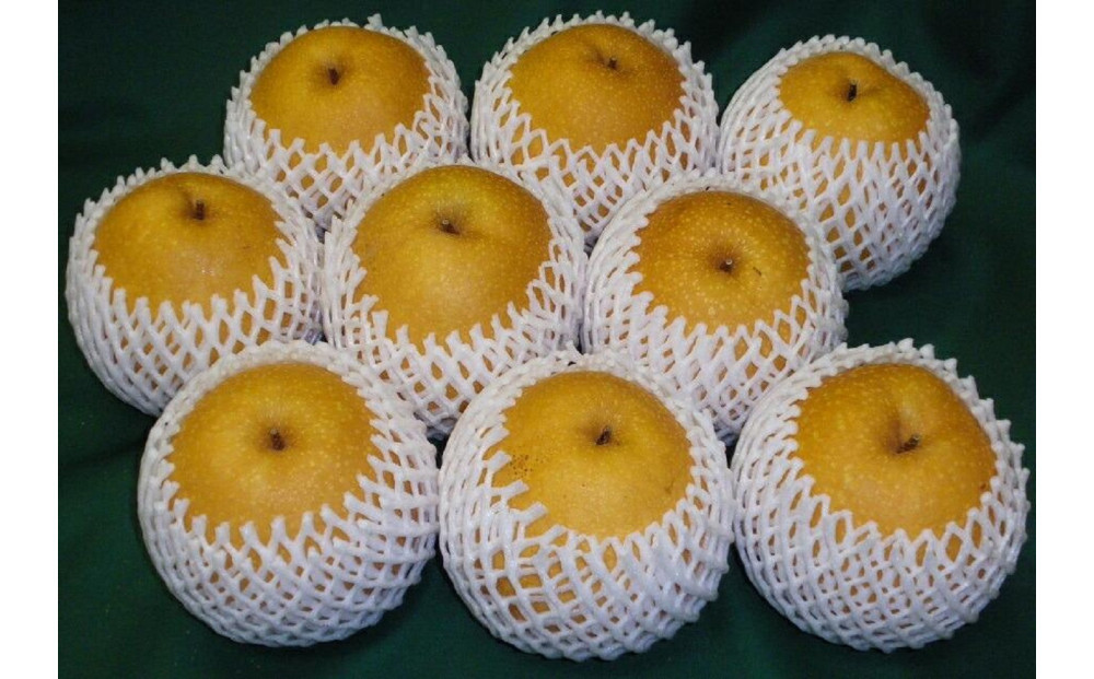 訳あり 王秋梨 5kg箱 (約6～12玉) 312011_BU008