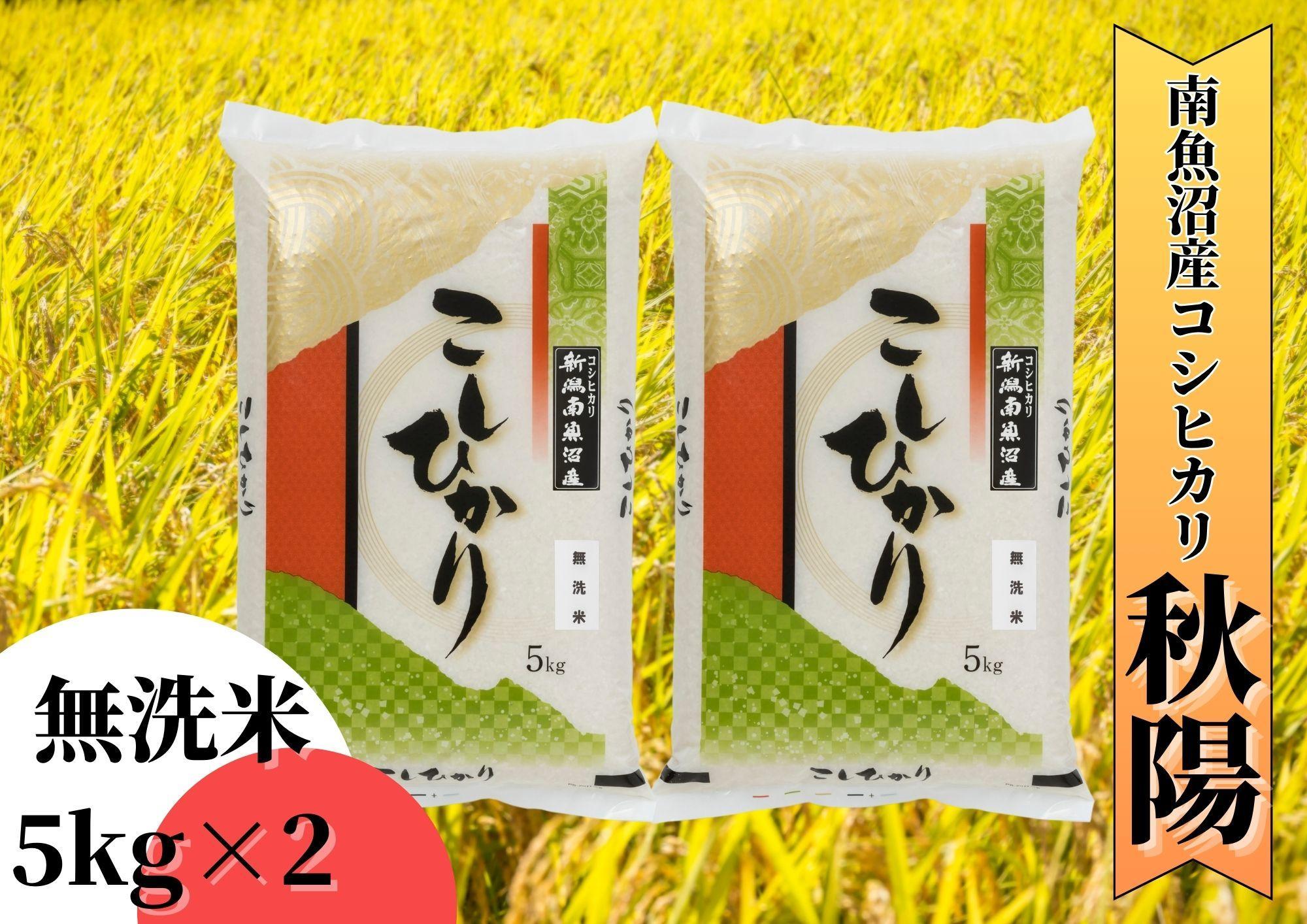 【令和7年産 新米予約】南魚沼産コシヒカリ「秋陽」（無洗米10kg）新潟県の特A地区南魚沼市の美味しいお米【2025年（令和7年）10月上旬より順次発送予定】【米 お米 こしひかり 南魚沼 米 無洗米