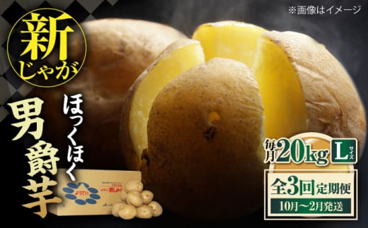 【全3回定期便】【10月～2月発送】 新じゃがいも 男爵芋 20Kg 《喜茂別町》【Aコープようてい】 ジャガイモ じゃがいも 野菜 季節の野菜 詰め合わせ 北海道 産地直送 定期便 [AJAK022]