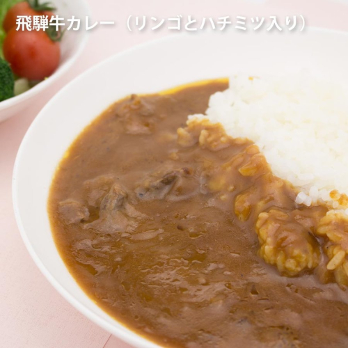 りんごとはちみつ入り飛騨牛カレー　1袋×20　（20食）[E0051pic]