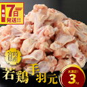 【ふるさと納税】【レビューキャンペーン対象】宮崎県産若鶏手羽元3kg - 冷凍 唐揚げ/グリルチキン/さっぱり煮 たんぱく質 鶏肉 国産 宮崎県産 真空パック スピード配送便 送料無料 【宮崎県木城町】