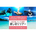 【ふるさと納税】カップル限定貸し切りツアー 半日 1組限定