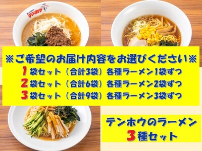 テンホウラーメン3種セット【タンタンメン・しょうゆラーメン・バンバンチーメン】 3袋セット[合計9袋]／テンホウ ラーメン タンタンメン しょうゆラーメン バンバンチーメン 冷凍 ラーメンセット ラー