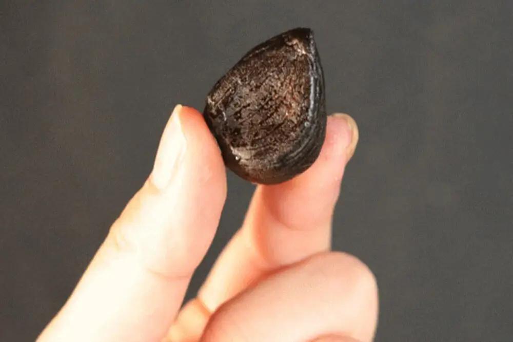 熟成黒にんにく「黒宝」120g 縦型丸カップ 青森県産 添加物不使用 国産ブランドにんにく 福地ホワイト 青森期待の新人商店