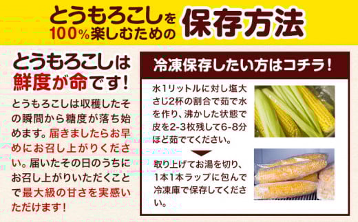 令和6年産 北海道 名寄産 スイートコーン イエロー L～2Lサイズ 22本 《8月中旬-9月中旬頃出荷予定》 NPO法人なよろ観光まちづくり協会 北海道 とうもろこし トウモロコシ Lサイズ 2Lサ