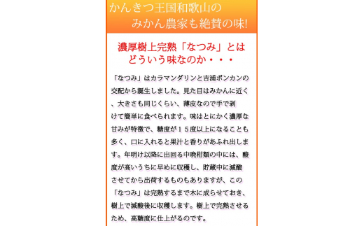 初夏のみかん　なつみ3kg　※2026年4月中旬頃〜2026年4月下旬頃順次発送（お届け日指定不可） / 果物 くだもの フルーツ 柑橘 オレンジ みかん ミカン 有田みかん 【uot753A】