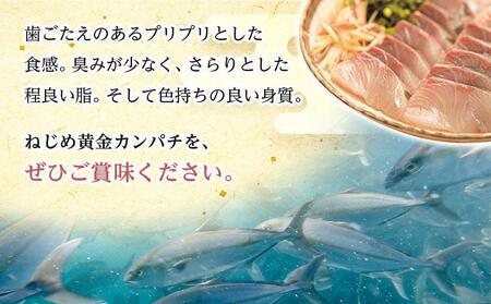 【ねじめ黄金カンパチ】１尾 3.6～4.0kg 着日指定可 | かんぱち 勘八 産地直送 冷蔵 カンパチ 美味しい 魚 カンパチ